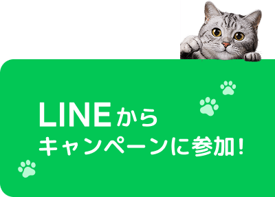 LINEからキャンペーンに参加!