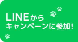 LINEからキャンペーンに参加!
