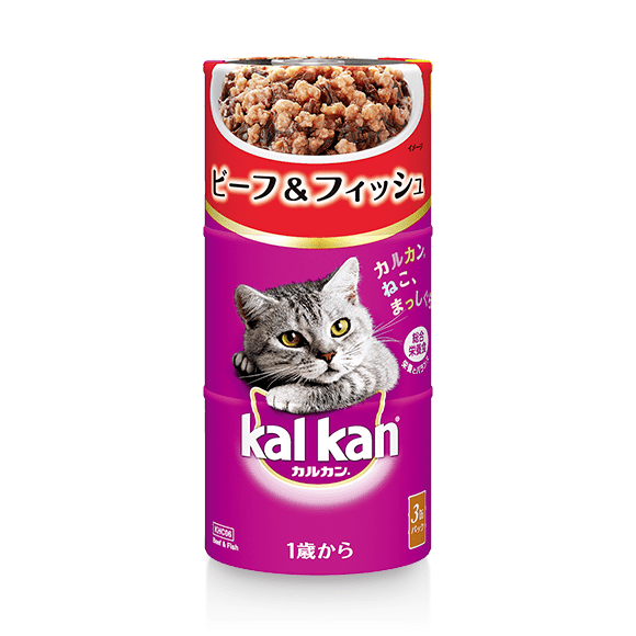  缶タイプ ビーフ&フィッシュ