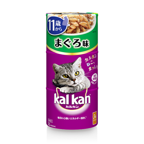 11歳から まぐろ