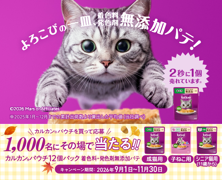 カルカンパウチを買って1,000人にその場で当たる!!カルカン&reg;パウチ12個パック